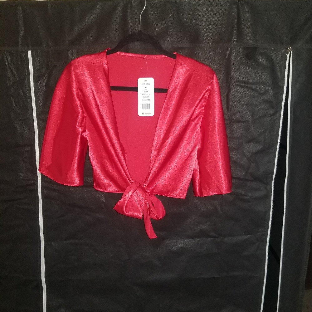 Brand New Red Silk Crop Top